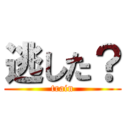 逃した？ (train)