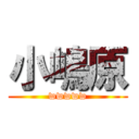 小嶋原 (wwwww)