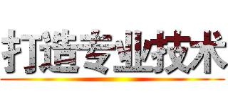 打造专业技术 ()