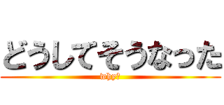 どうしてそうなった (why?)