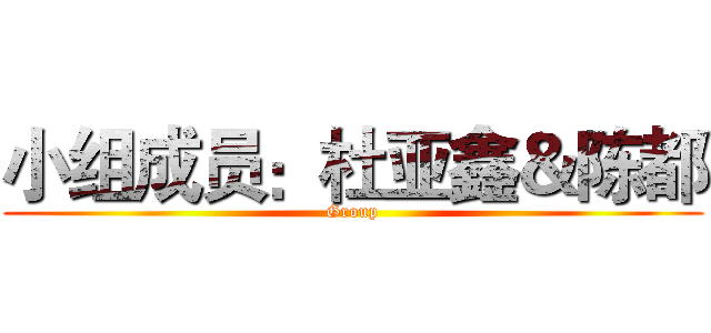 小组成员：杜亚鑫＆陈都 (Group)