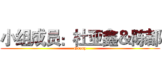 小组成员：杜亚鑫＆陈都 (Group)