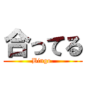 合ってる (Bingo.)