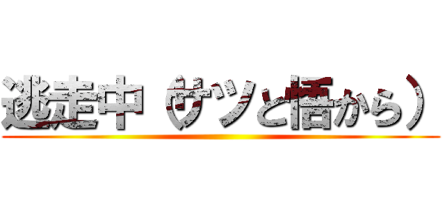 逃走中（サツと悟から） ()