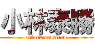 小林泰勝 (attack on titan)