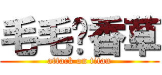 毛毛艹香草 (attack on titan)
