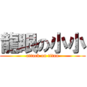 龍眼の小小 (attack on titan)