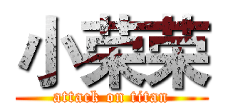 小荣荣 (attack on titan)