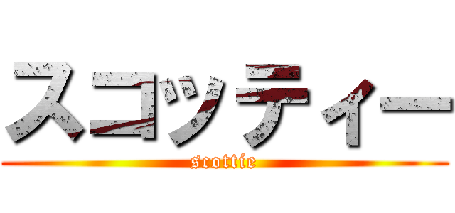 スコッティー (scottie)