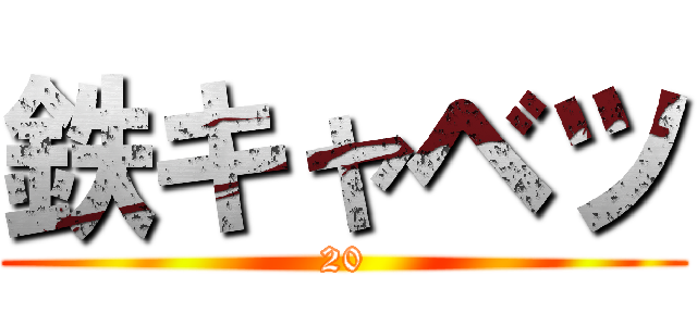 鉄キャベツ (20)