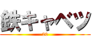 鉄キャベツ (20)