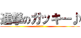 進撃のガッキー♪ (ガッキー隊長)