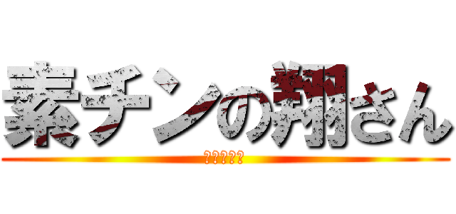 素チンの翔さん (（＾ω＾）)