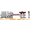 長槍一在！ (菊花拿來)