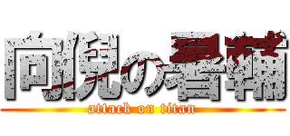 向倪の暑輔 (attack on titan)