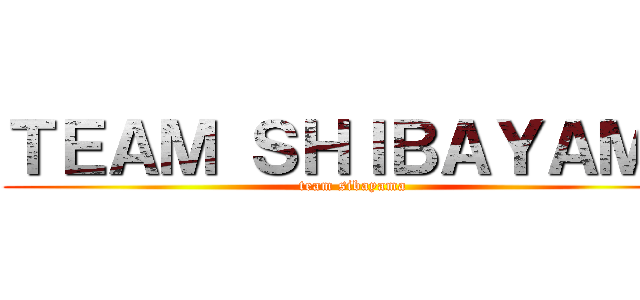 ＴＥＡＭ ＳＨＩＢＡＹＡＭＡ (team sibayama)