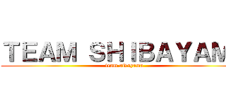 ＴＥＡＭ ＳＨＩＢＡＹＡＭＡ (team sibayama)