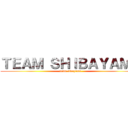 ＴＥＡＭ ＳＨＩＢＡＹＡＭＡ (team sibayama)