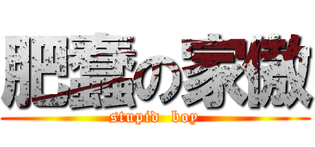 肥蠢の家傲 (stupid  boy)