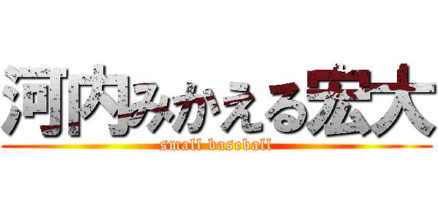 河内みかえる宏大 (small baseball)