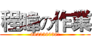 程暐の作業 (992236038啦)