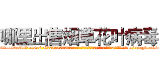 哪里出售烟草花叶病毒 (哪里出售烟草花叶病毒【电-186x2687x6963-Q278180069元-吉-药-业】我们做的是长期生意,靠的是老客户长期支持 http://sngk.net/nd8Yc5
)