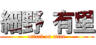 細野 有里 (attack on titan)