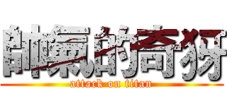 帥氣的奇犽 (attack on titan)