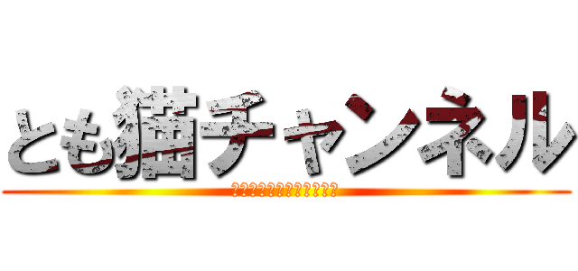 とも猫チャンネル (チャンネル登録よろしくぅ)