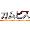 カムピス (kitikamuzentuppa system)