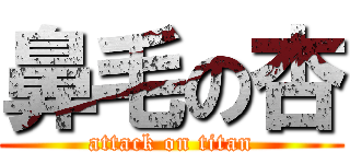 鼻毛の杏 (attack on titan)