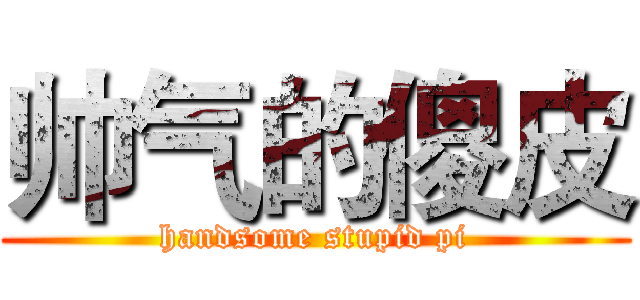 帅气的傻皮 (handsome stupid pi)