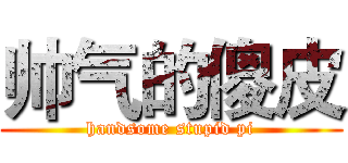 帅气的傻皮 (handsome stupid pi)
