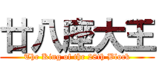 廿八座大王 (The King of the 28th Block)