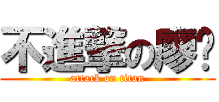 不進撃の廖圳 (attack on titan)
