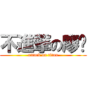 不進撃の廖圳 (attack on titan)