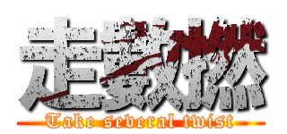 走數撚 (Take several twist)