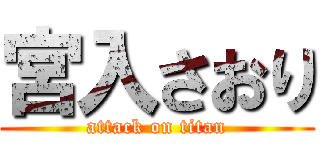 宮入さおり (attack on titan)