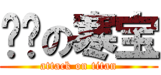 进击の寒宝 (attack on titan)