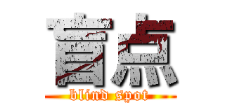 盲点 (blind spot)