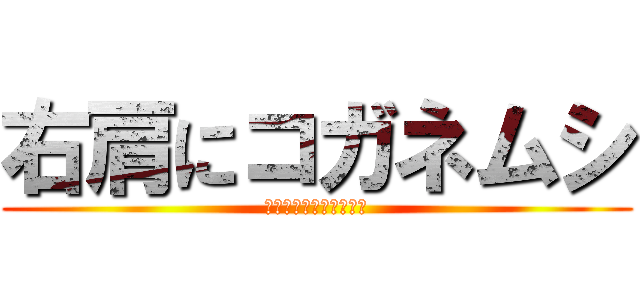 右肩にコガネムシ (にぎにぎこはくんちょす)