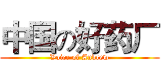 中国の好药厂 (Voice of Andrew)