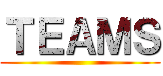 ＴＥＡＭＳ ()