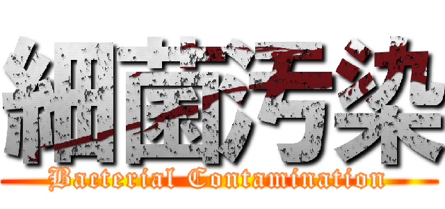 細菌汚染 (Bacterial Contamination)