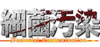 細菌汚染 (Bacterial Contamination)