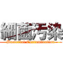 細菌汚染 (Bacterial Contamination)