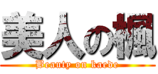 美人の楓 (Beauty on kaede)