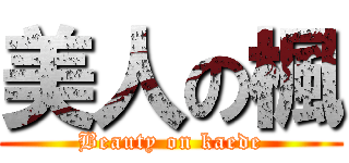 美人の楓 (Beauty on kaede)