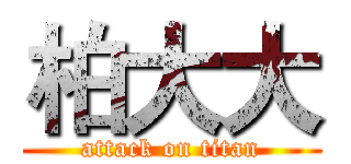 柏大大 (attack on titan)