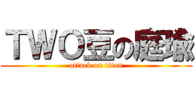 ＴＷＯ豆の庭瑜 (attack on titan)
